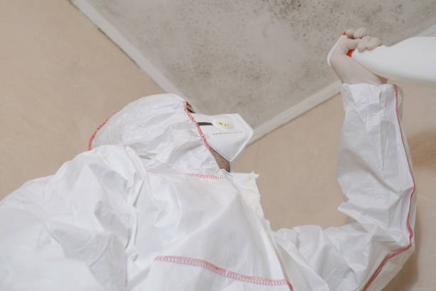 Best Mold Testing  in Wesleyville, PA